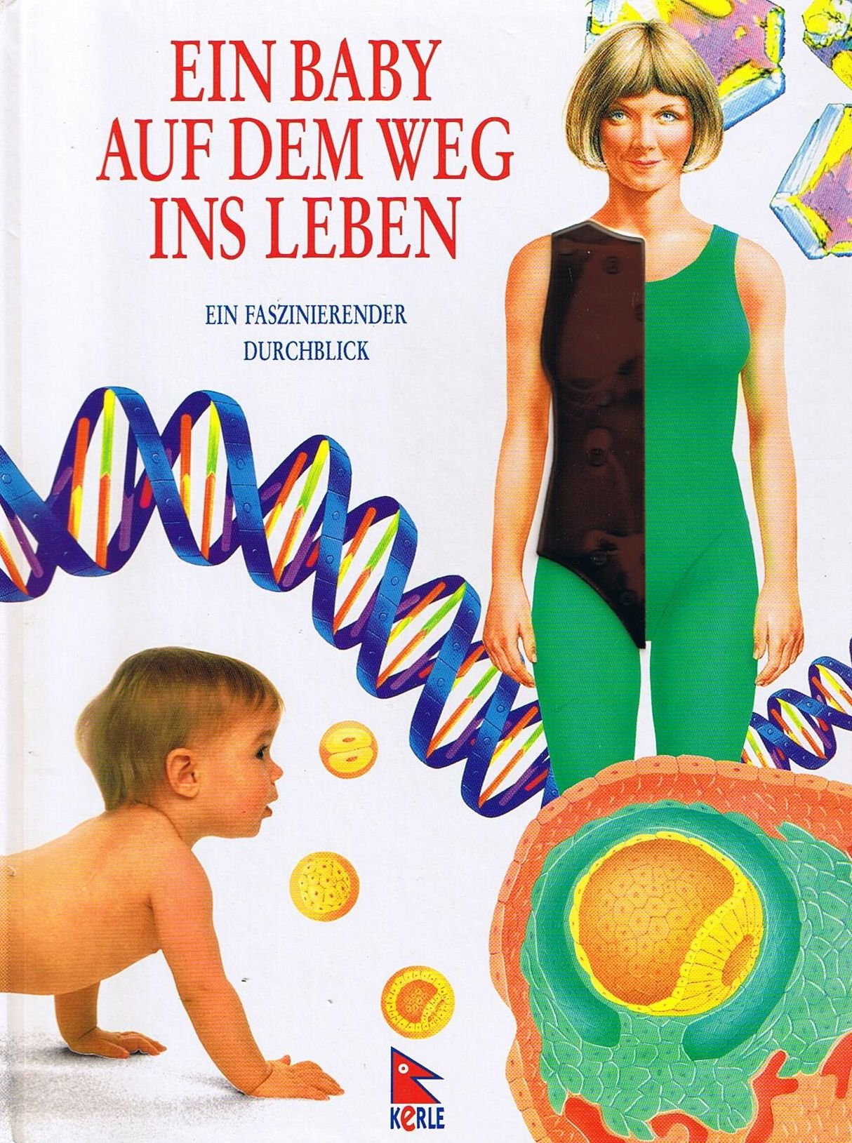 Ein Baby auf dem Weg ins Leben: Ein faszinierender Durchblick Health, Nutrition & Fitness