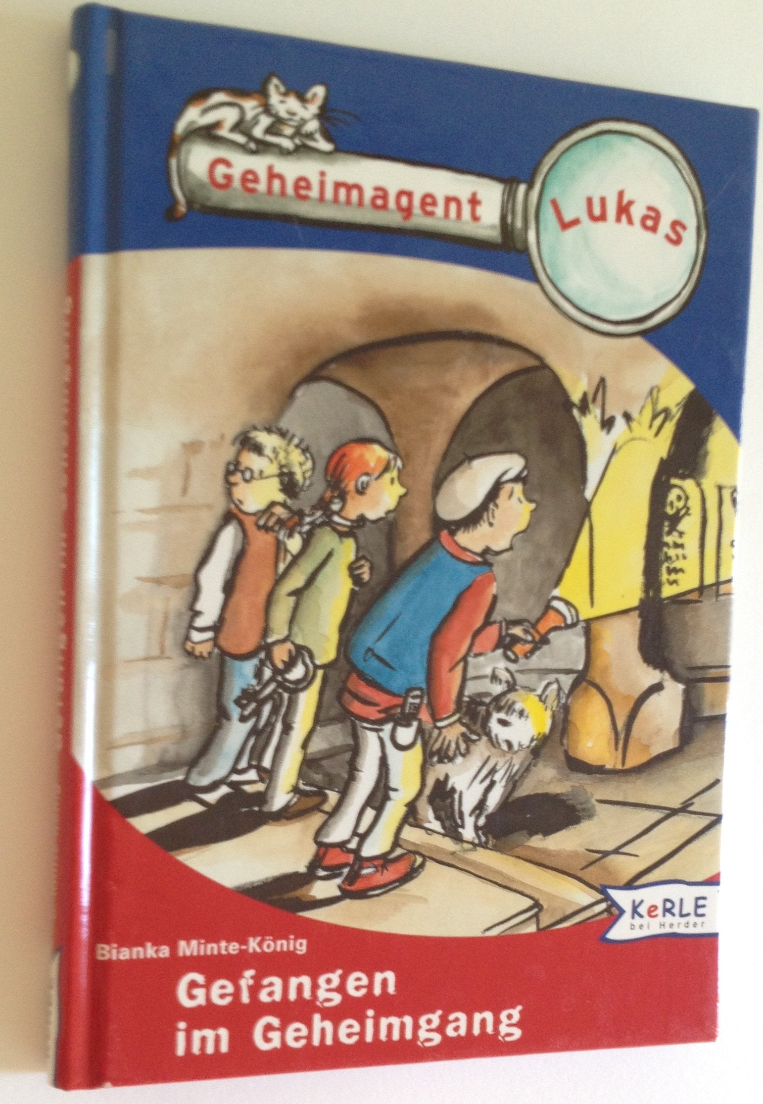 Geheimagent Lukas, Gefangen im Geheimgang Books