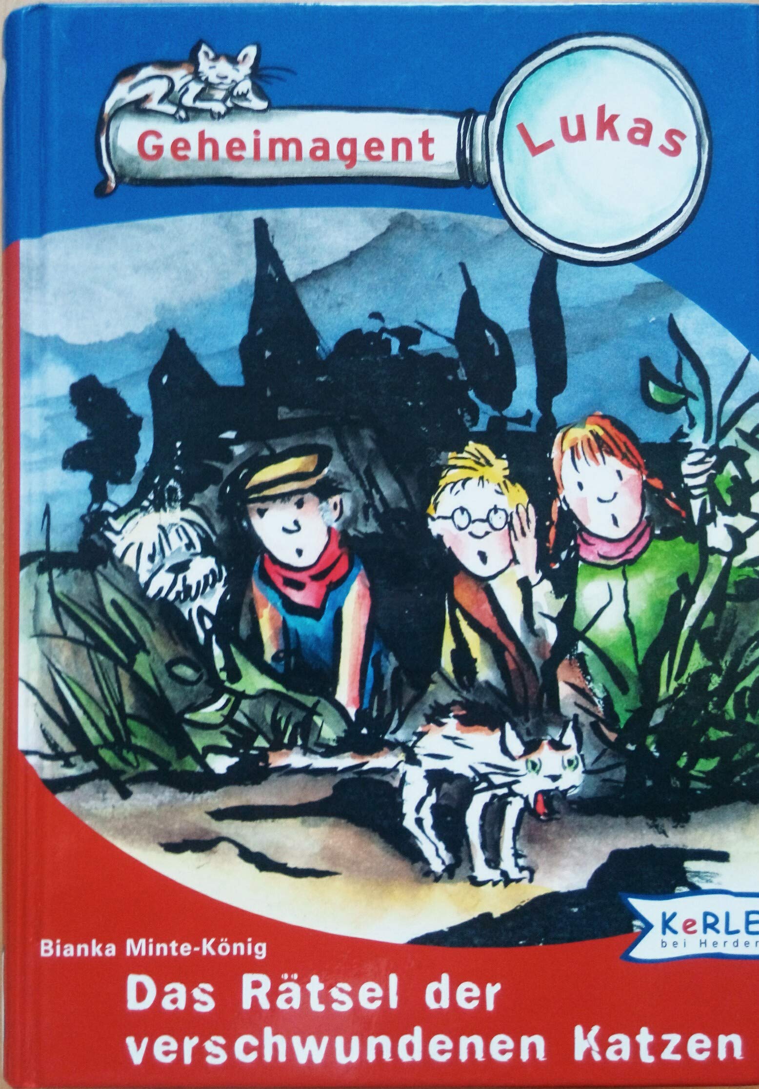 Geheimagent Lukas, Bd.2, Das Rätsel der verschwundenen Katzen Books