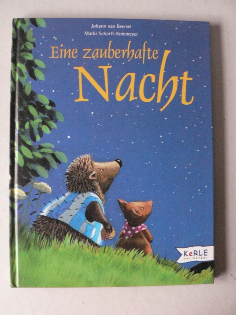 Eine zauberhafte Nacht Books