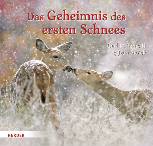 Das Geheimnis des ersten Schnees Children's books