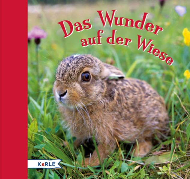 Das Wunder auf der Wiese Children's books