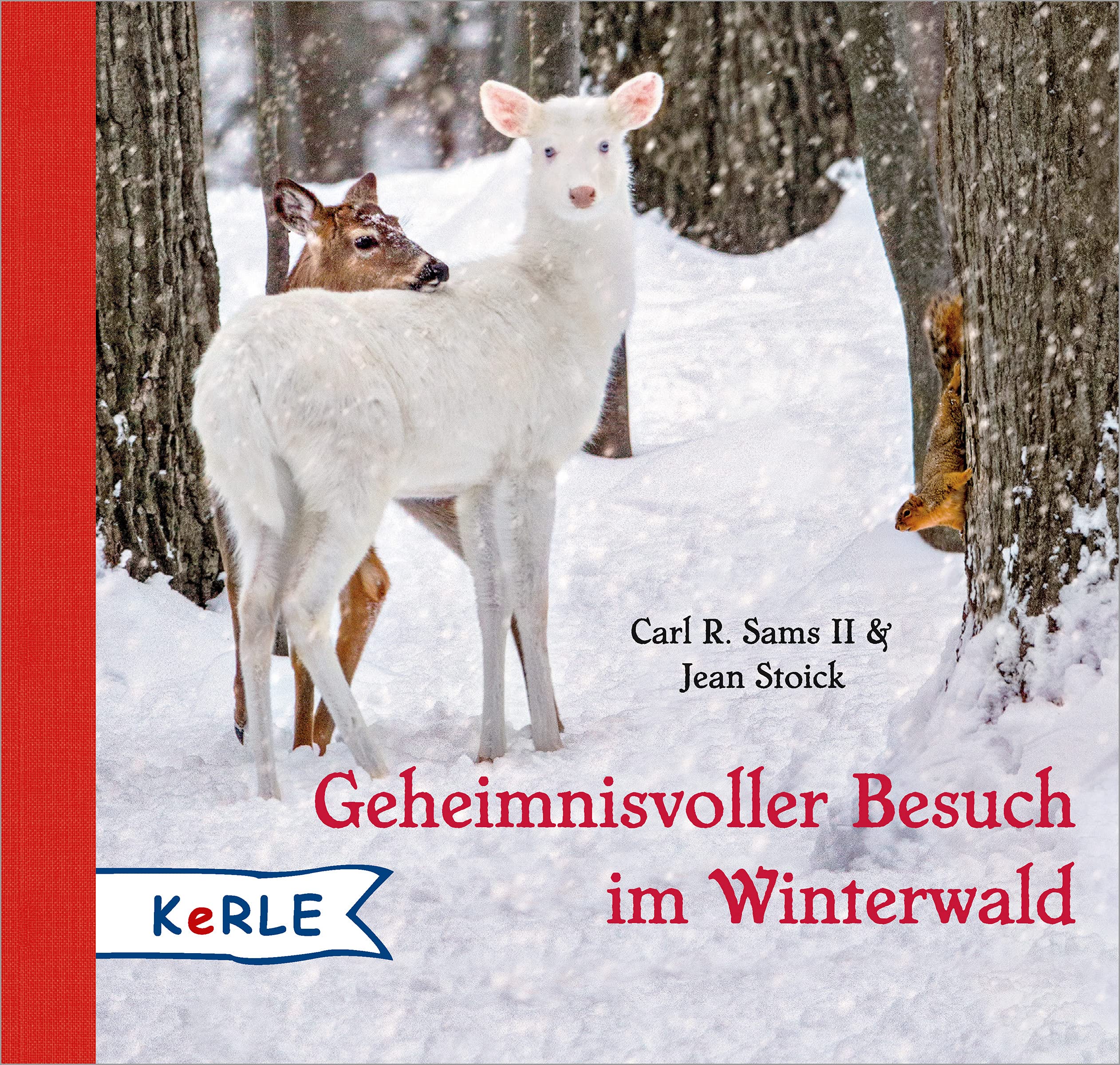 Geheimnisvoller Besuch im Winterwald Mini Children's books