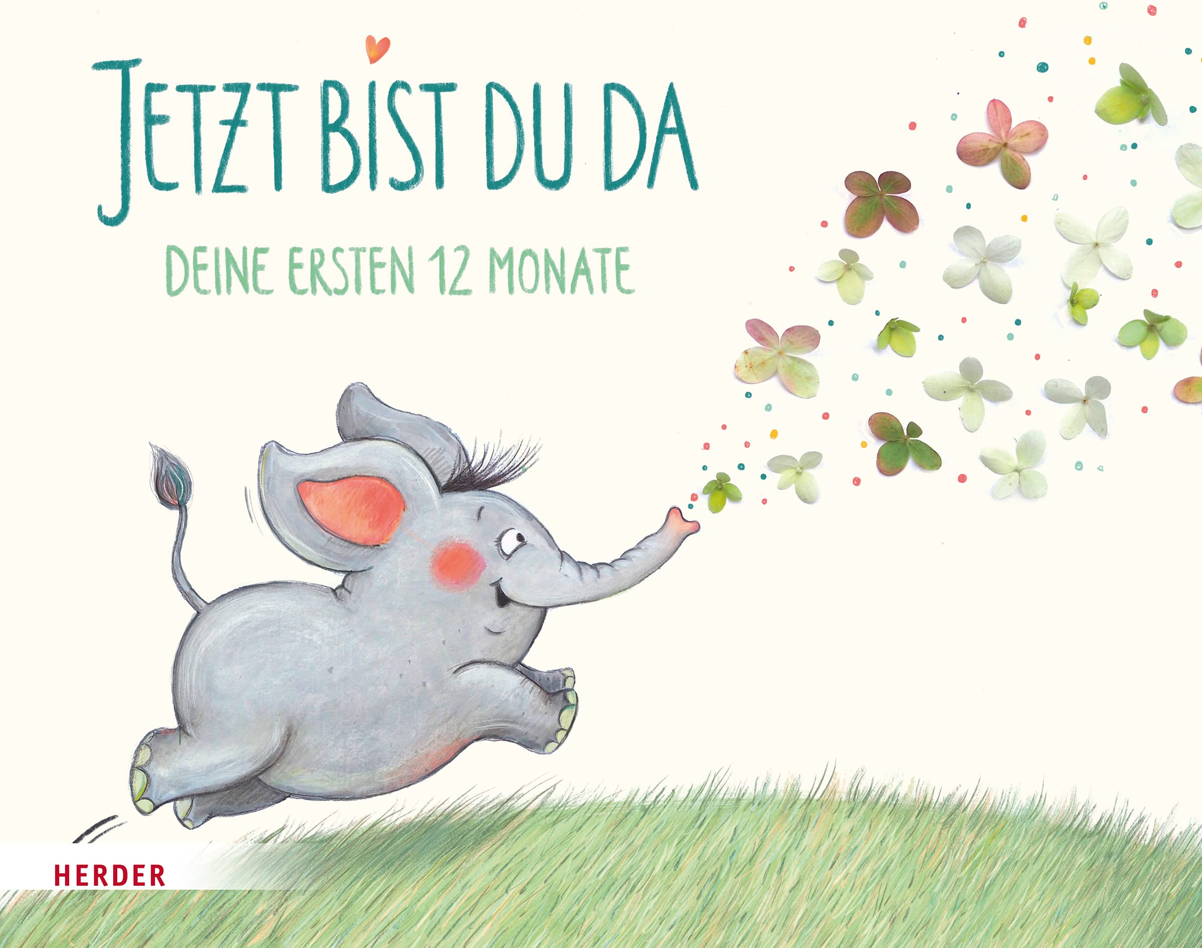 Jetzt bist du da - Deine ersten 12 Monate Living & Furnishing