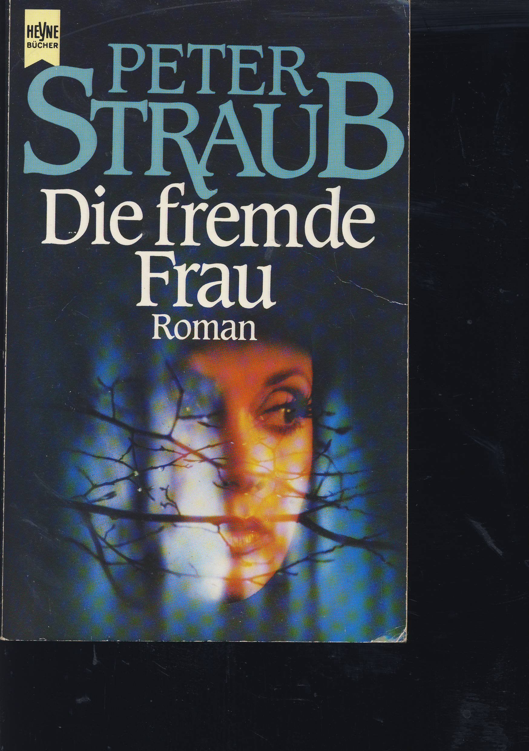 Die fremde Frau. Roman. Contemporary Romance