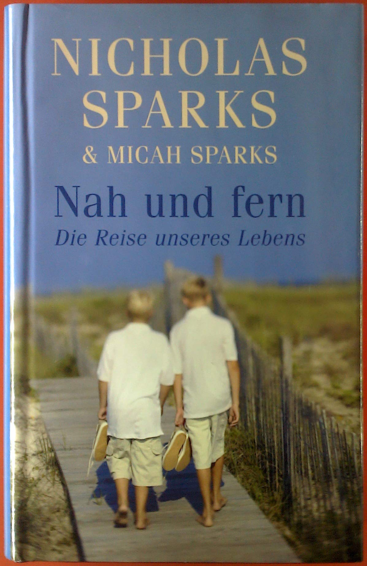 Nah und fern. Die Reise unseres Lebens Contemporary literature