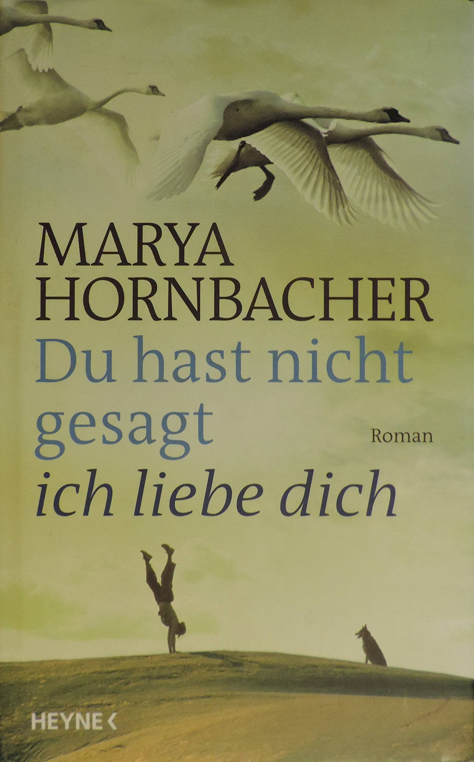 Du hast nicht gesagt, ich liebe dich: Roman Contemporary literature