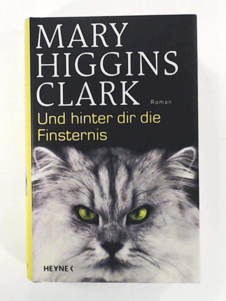 Und hinter dir die Finsternis: Roman Crime & Thrillers