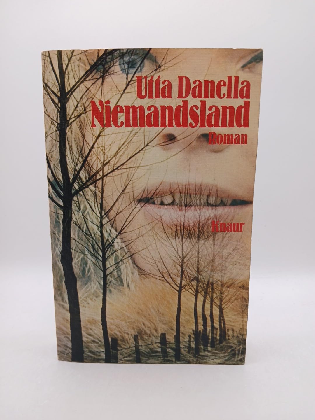 Niemandsland Contemporary literature Books
