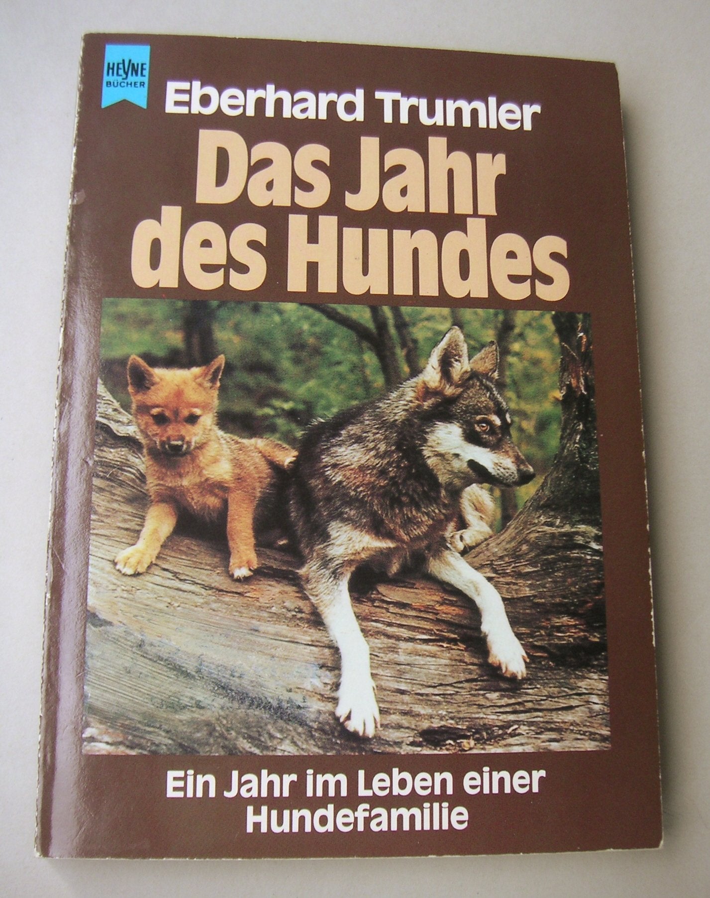 Das Jahr des Hundes. Ein Jahr im Leben einer Hundefamilie Natural Sciences