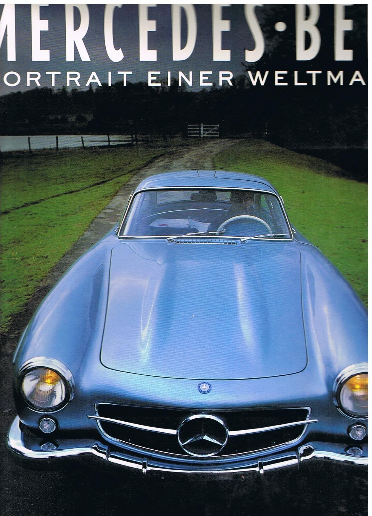 Mercedes Benz. Portrait einer Weltmarke Business & Technology