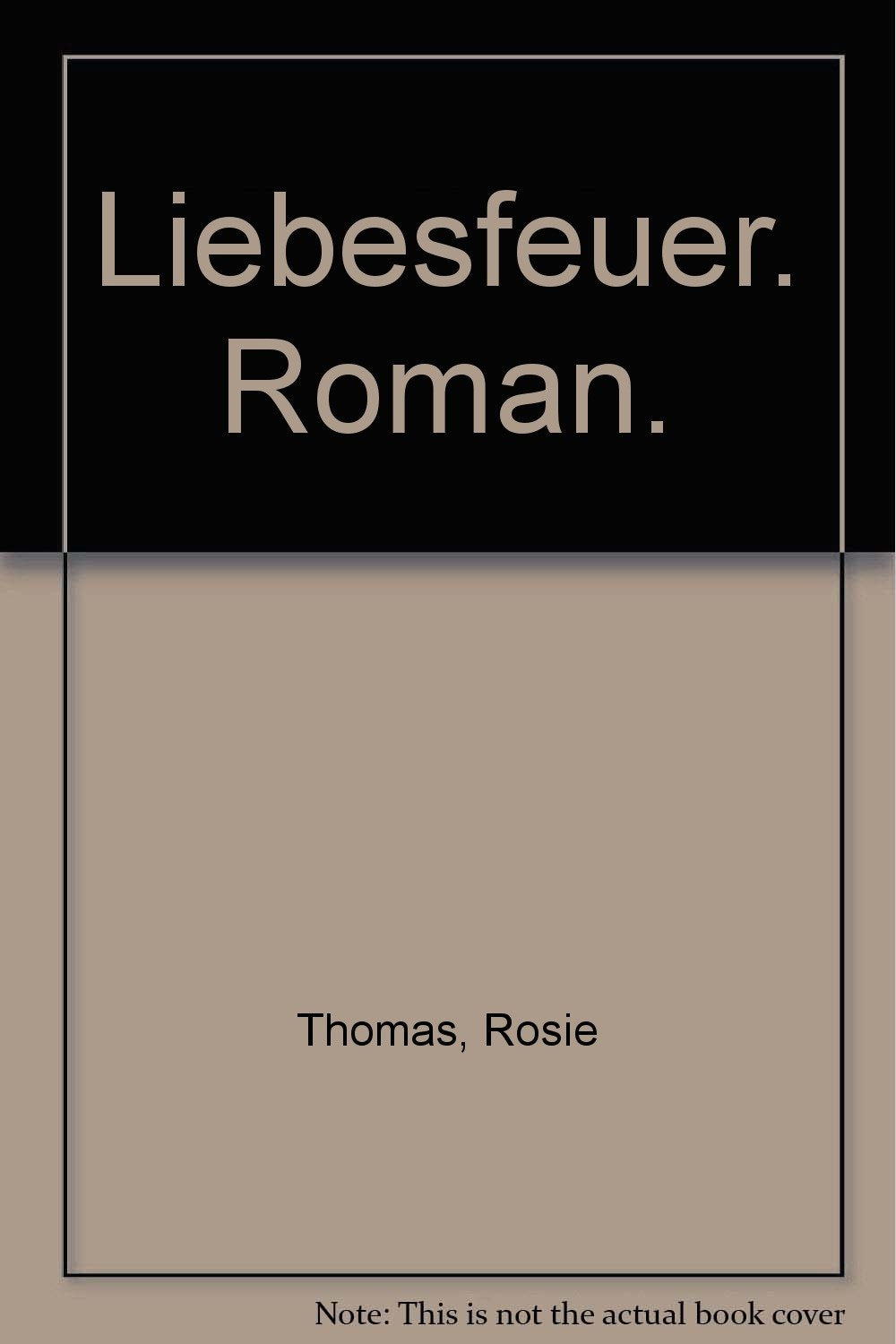 Liebesfeuer (Heyne Der Grosse Liebesroman (28)) Books