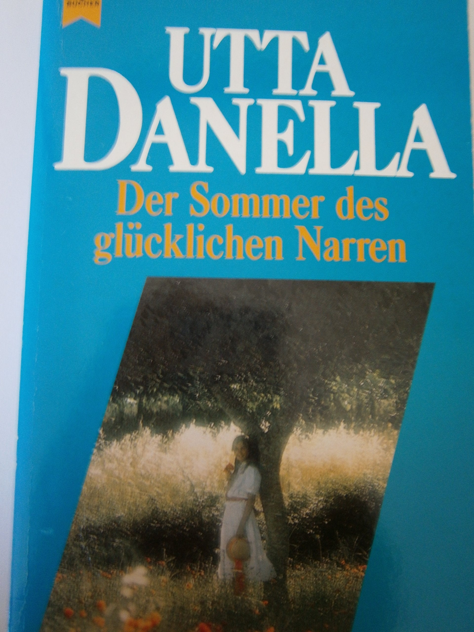 Der Sommer des glücklichen Narren. (3494 276). Roman. Contemporary literature
