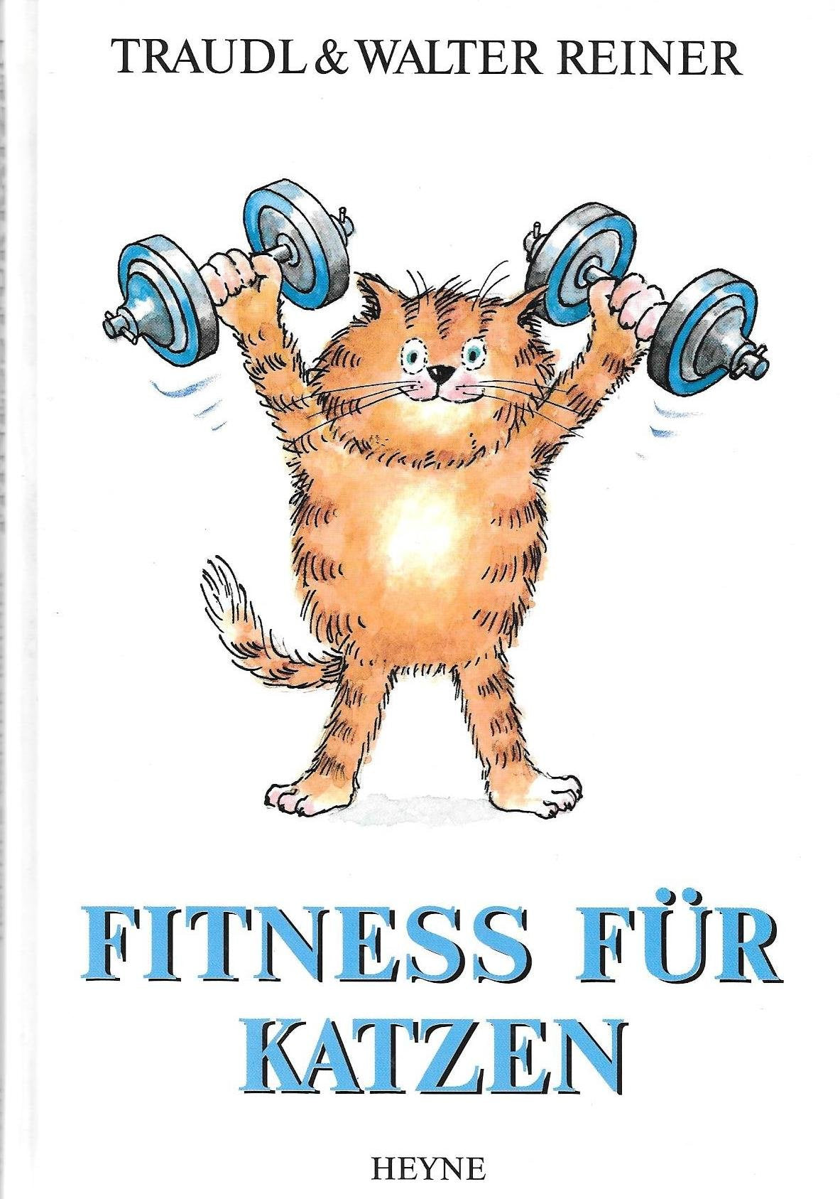 Fitness für Katzen Pets