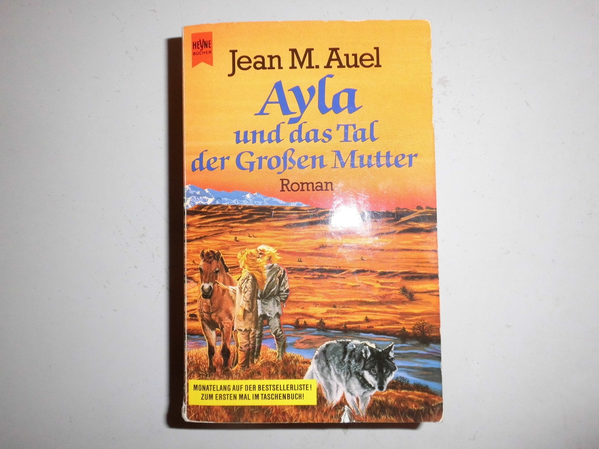 Ayla Und Das Tal Der Grossen Mutter / the Plains of Passage (Kinder Der Erde / Earth's Children, Band 4) Historical Fiction