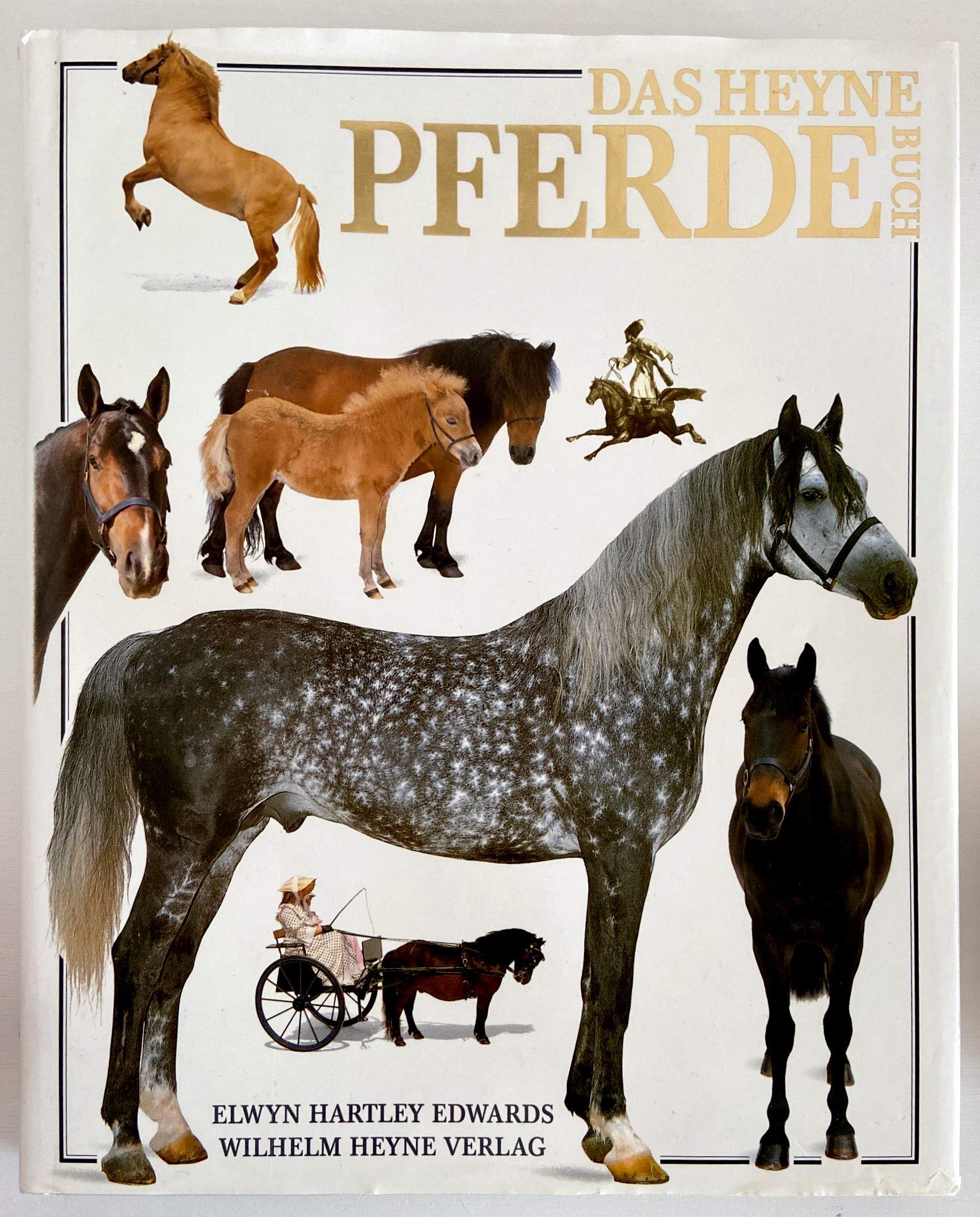Das HEYNE Pferde-Buch Books
