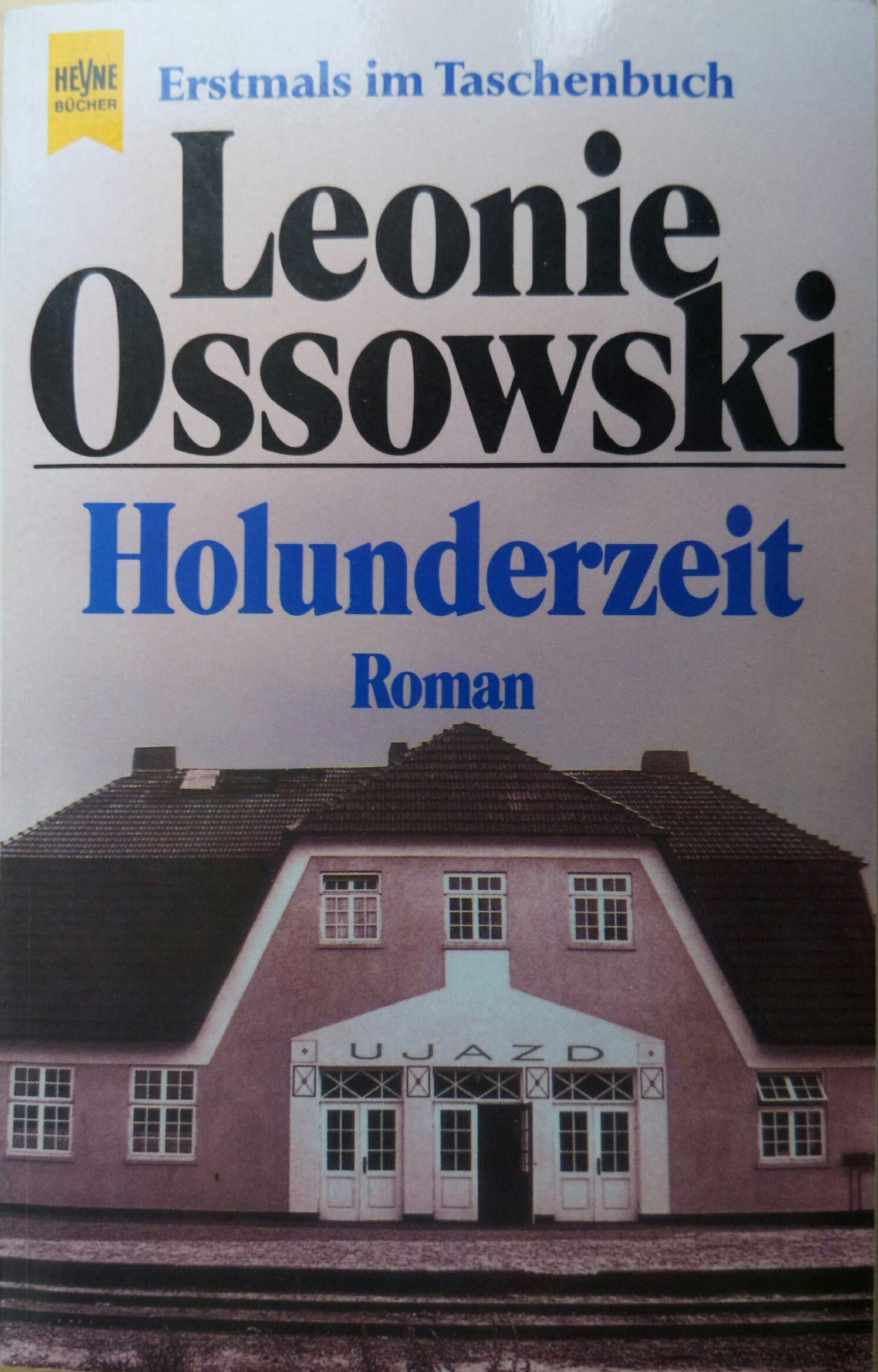 Holunderzeit. Roman. Contemporary literature Books