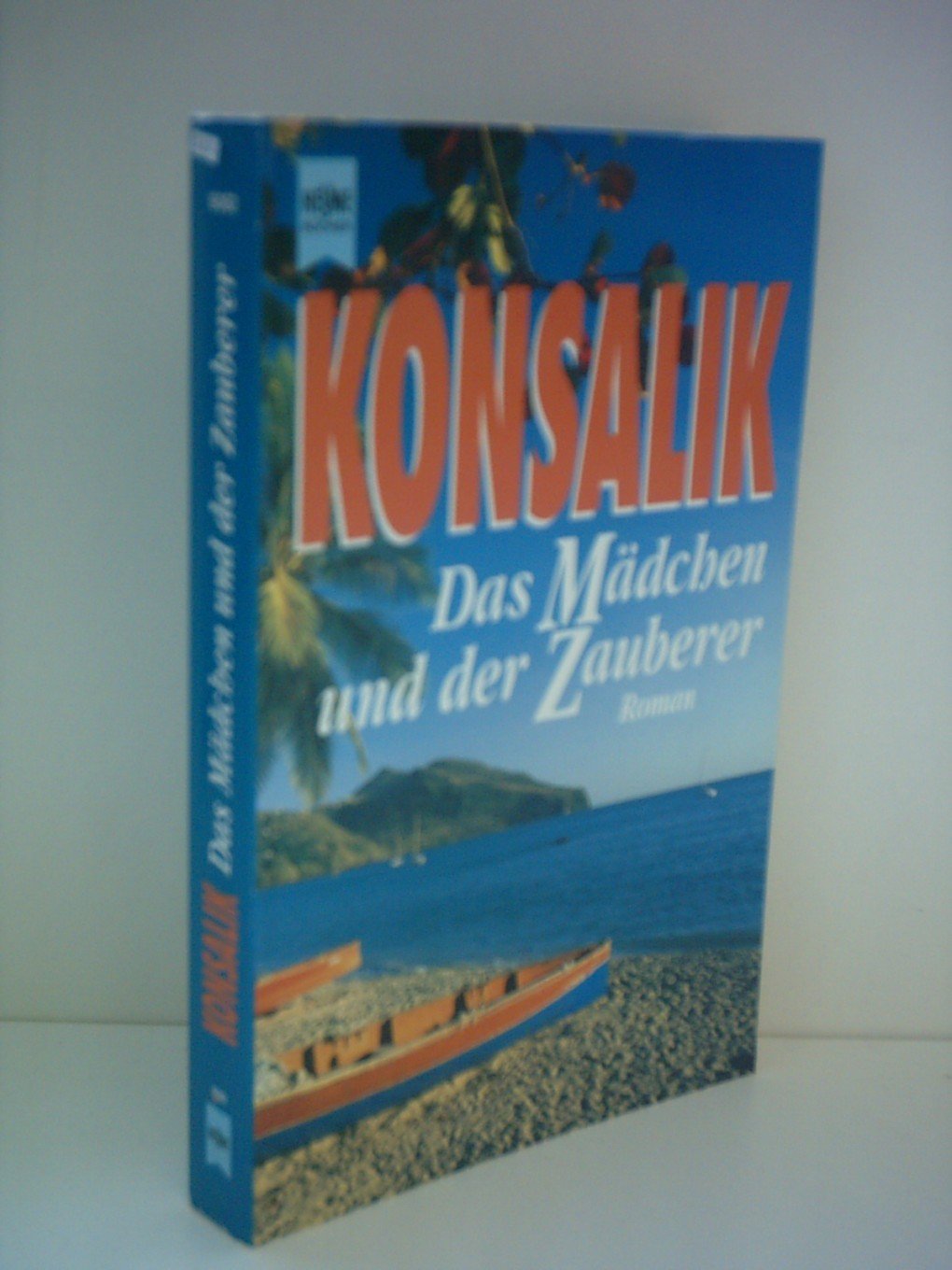 Das Mädchen und der Zauberer: Roman (Heyne Allgemeine Reihe (01)) Contemporary literature