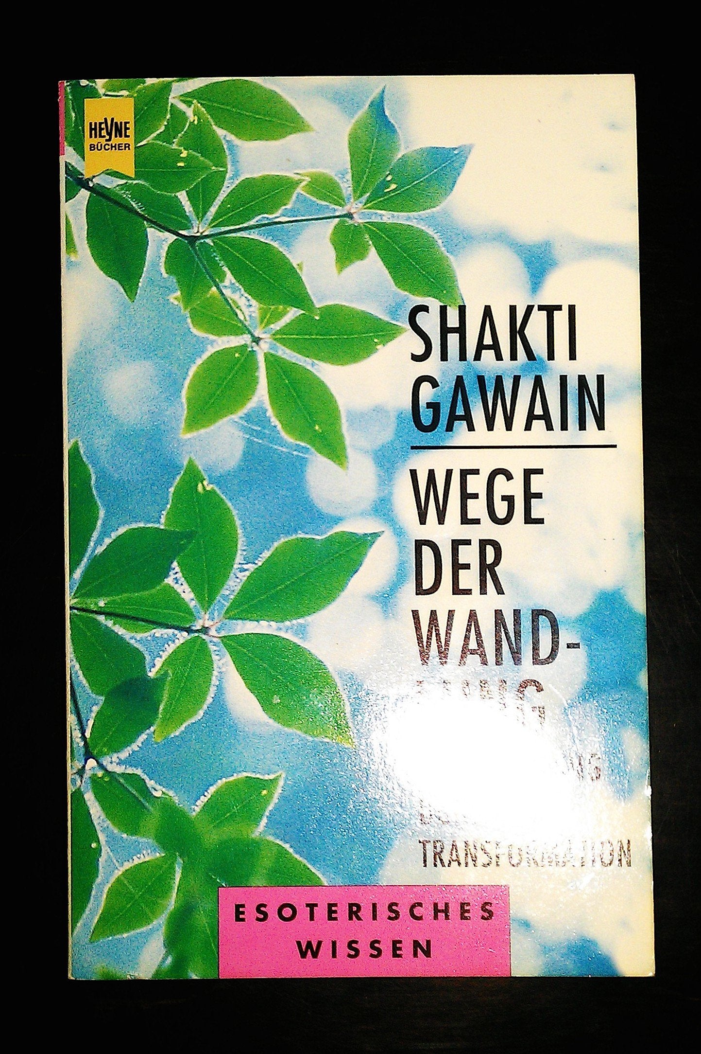 Wege der Wandlung. Selbstheilung durch Transformation. Psychology Books