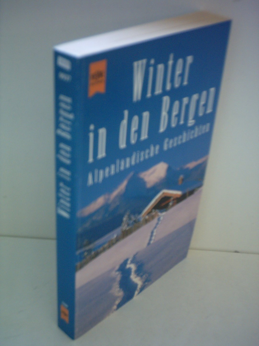 Winter in den Bergen. Alpenländische Geschichten. Books