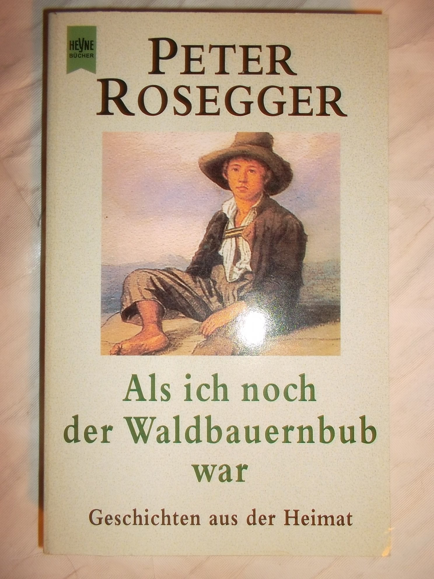 Als ich noch der Waldbauernbub war Politics & Society Books