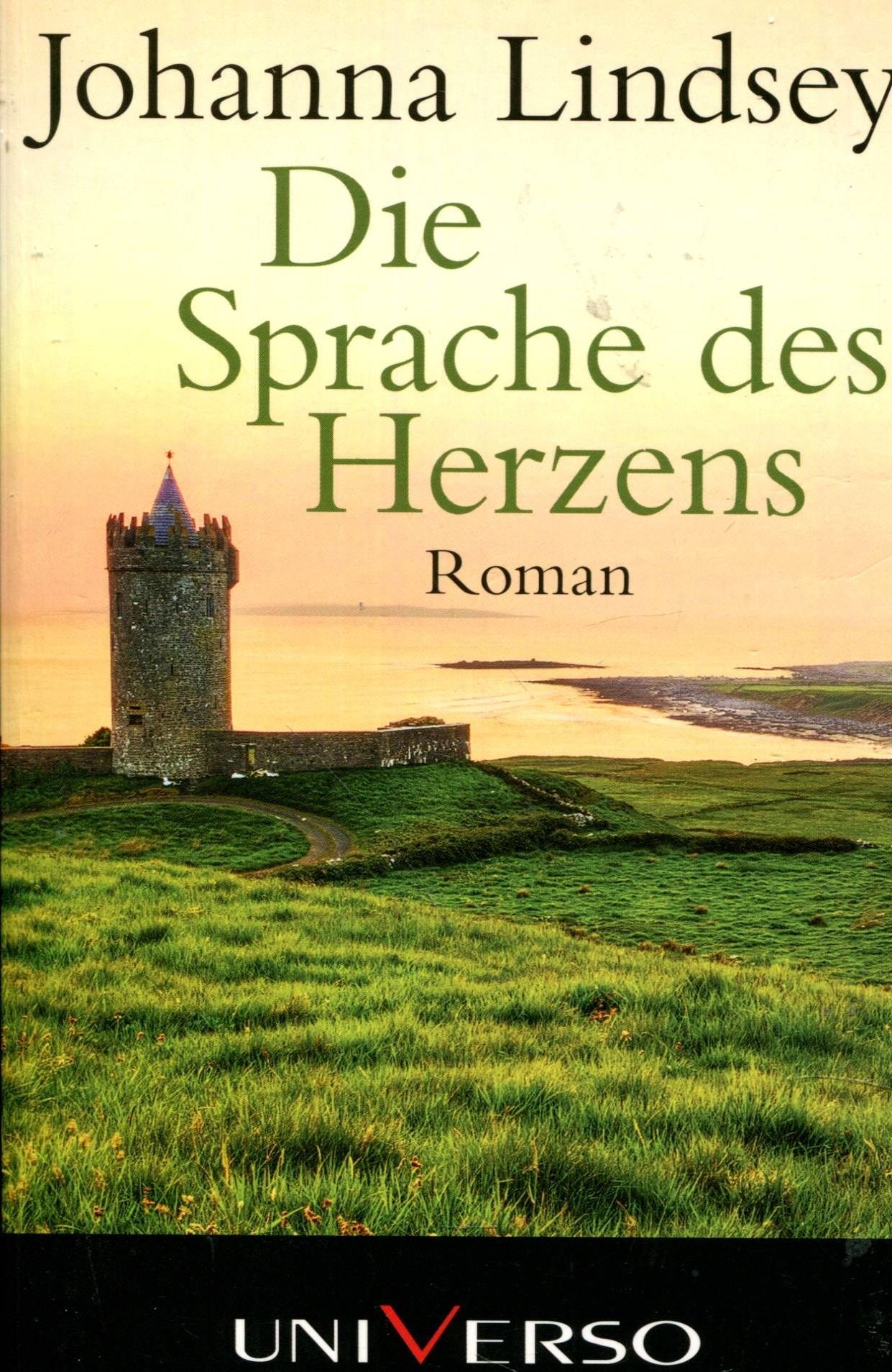 Die Sprache des Herzens: Roman Contemporary literature