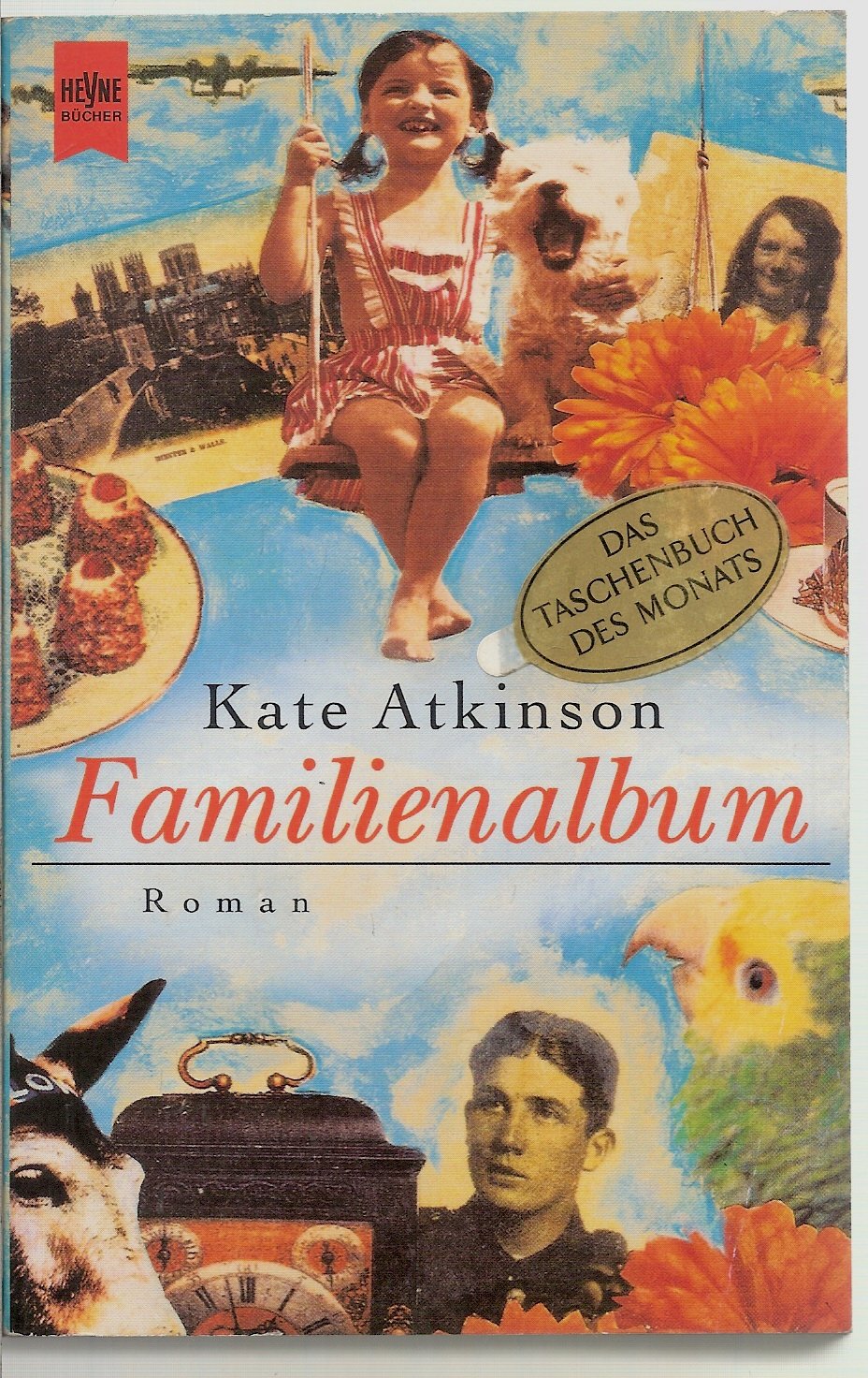 Familienalbum: Roman (Heyne Allgemeine Reihe (01)) Contemporary literature