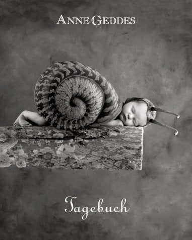 Tagebuch Politics & Society Books