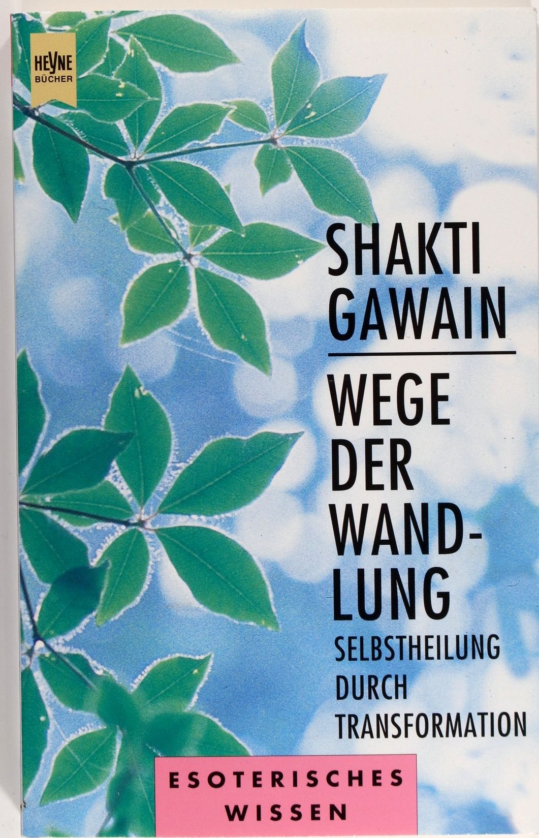 Wege der Wandlung Religion & Esotericism