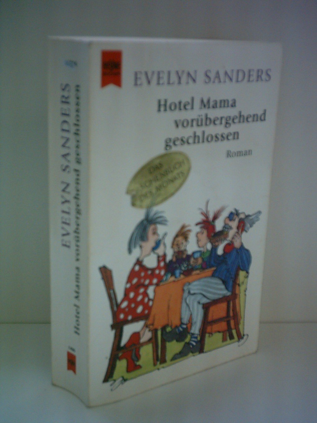 Hotel Mama vorübergehend geschlossen: Roman Contemporary literature