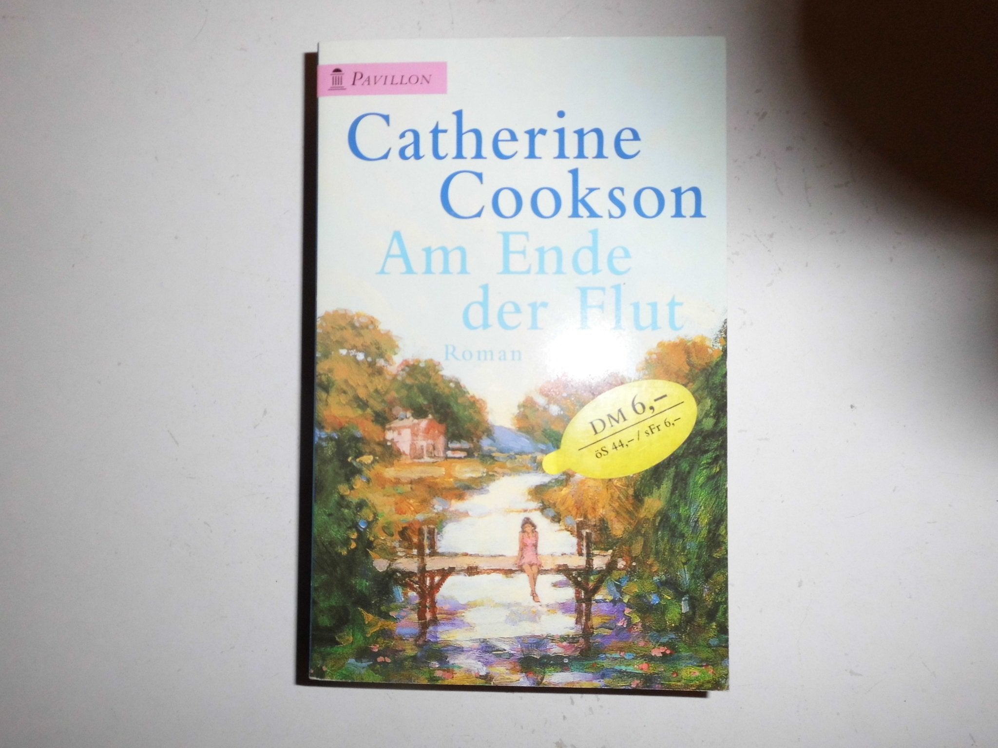 Am Ende der Flut: Roman (Pavillon) Books