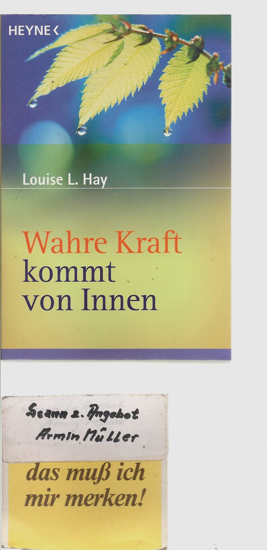Wahre Kraft kommt von Innen Lifestyle