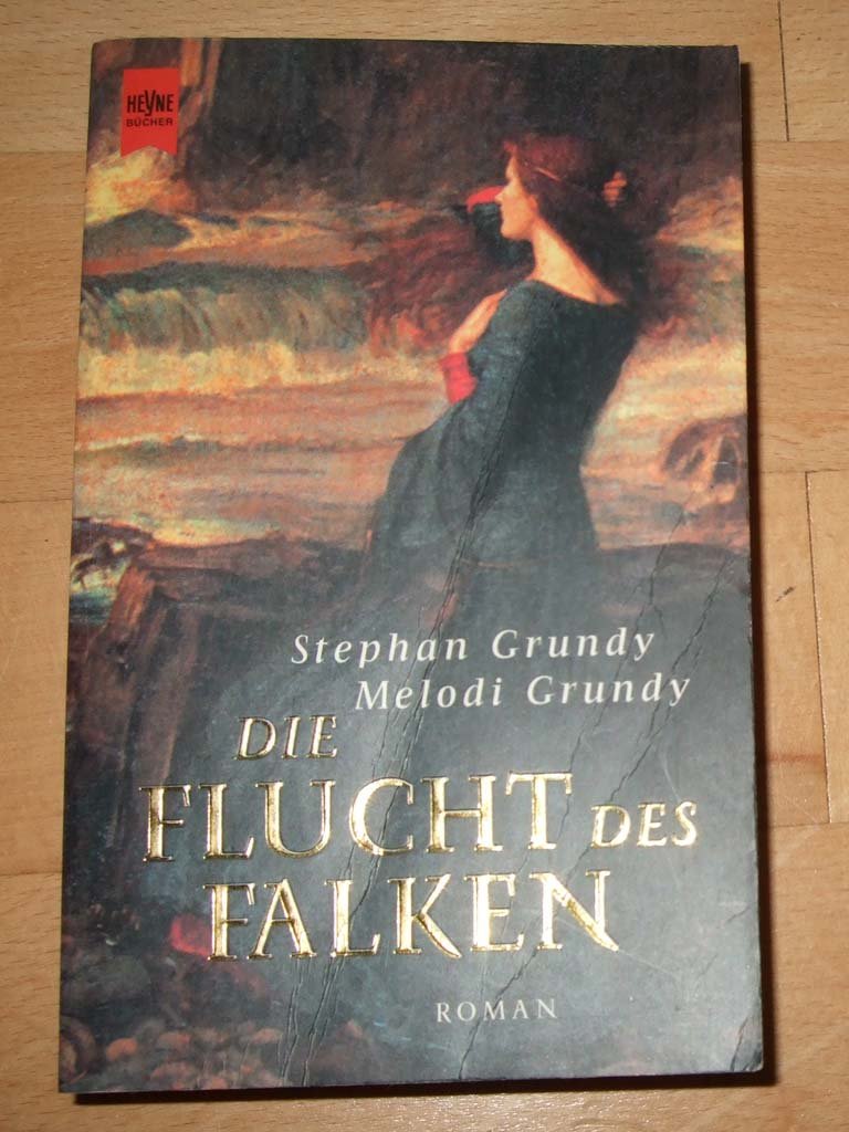 Die Flucht des Falken Contemporary literature
