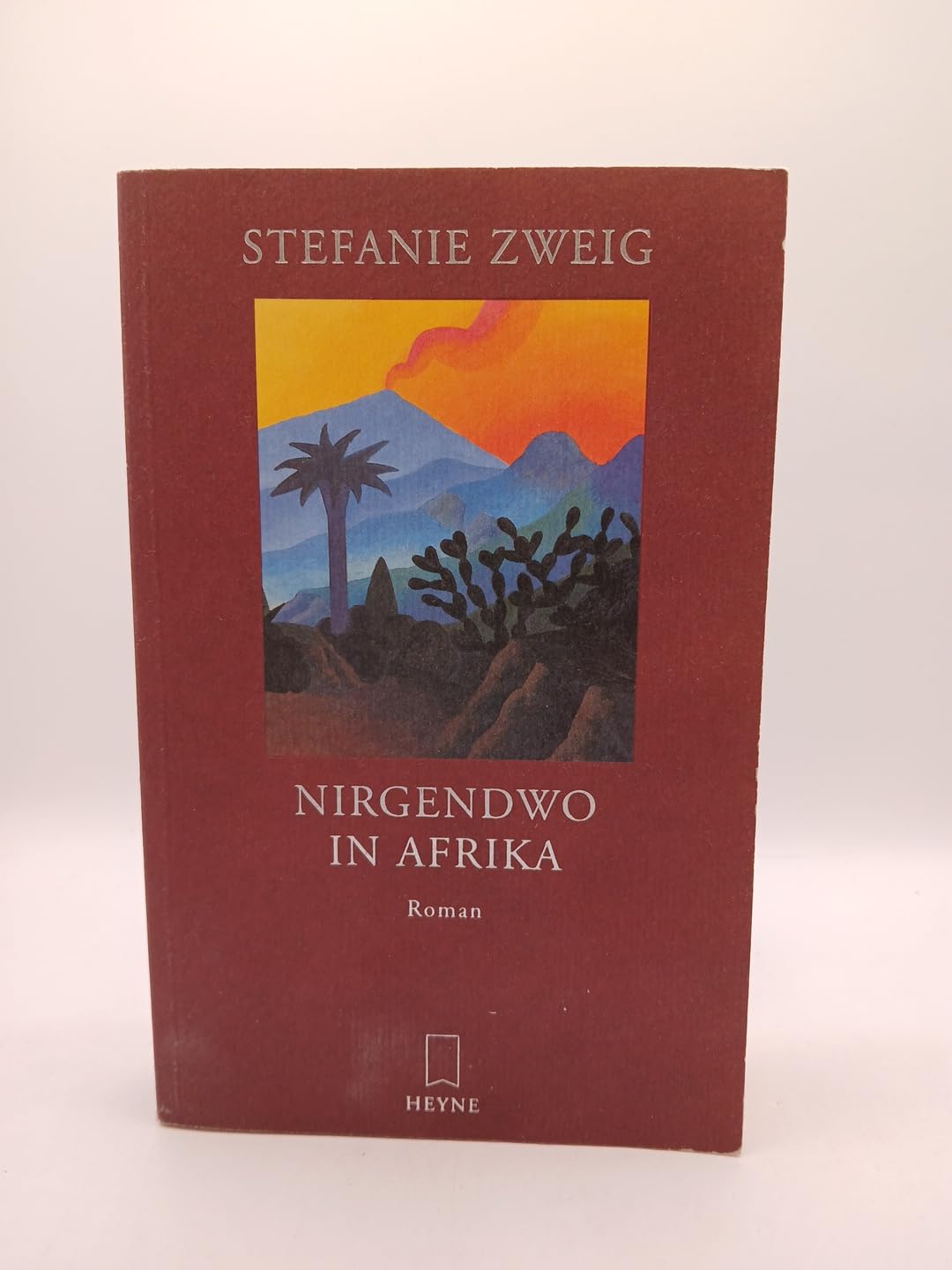 Nirgendwo in Afrika, Geschenkausgabe Contemporary literature