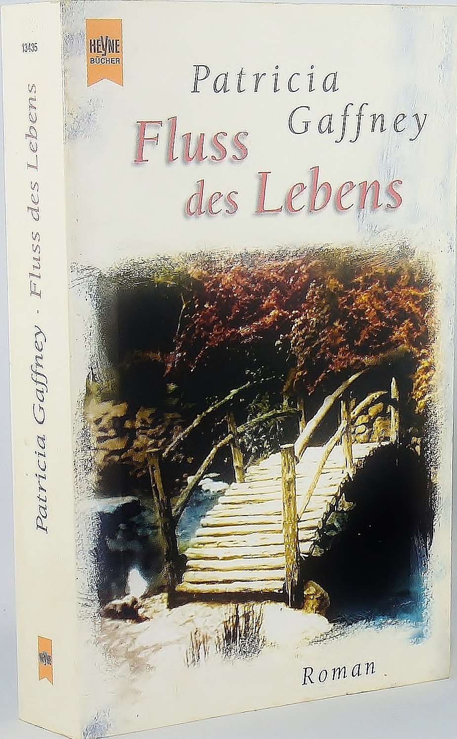 Fluss des Lebens. Roman Contemporary literature