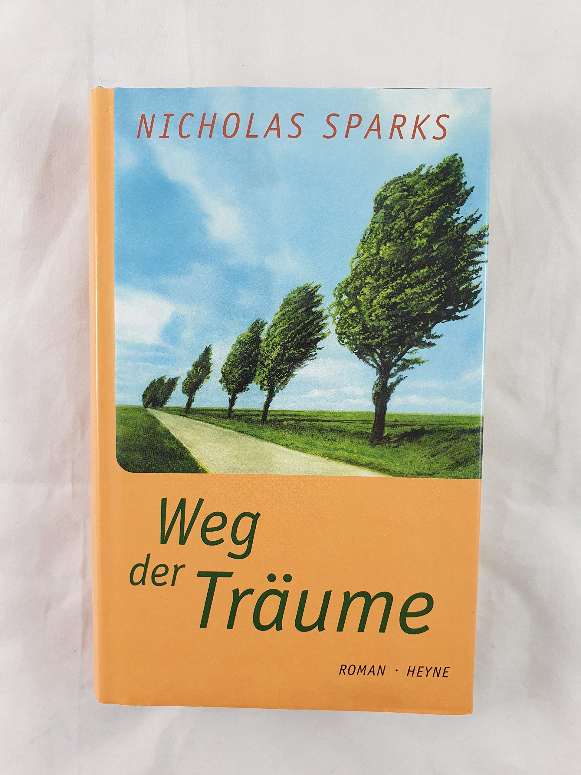 Weg der Träume: Roman: Roman. Aus d. Amerikan. v. Maja Ueberle-Pfaff Contemporary literature