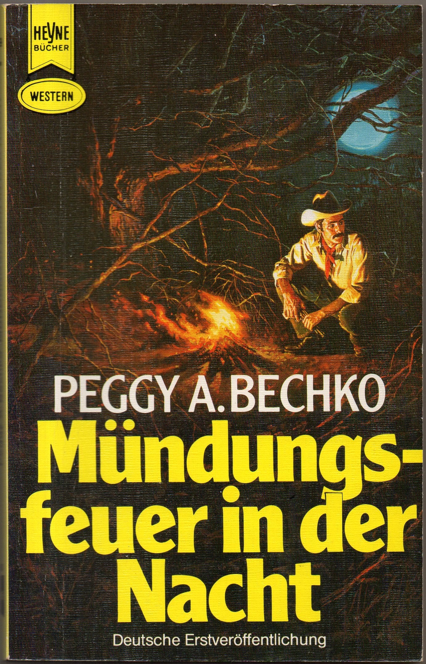 Mündungsfeuer in der Nacht. Books