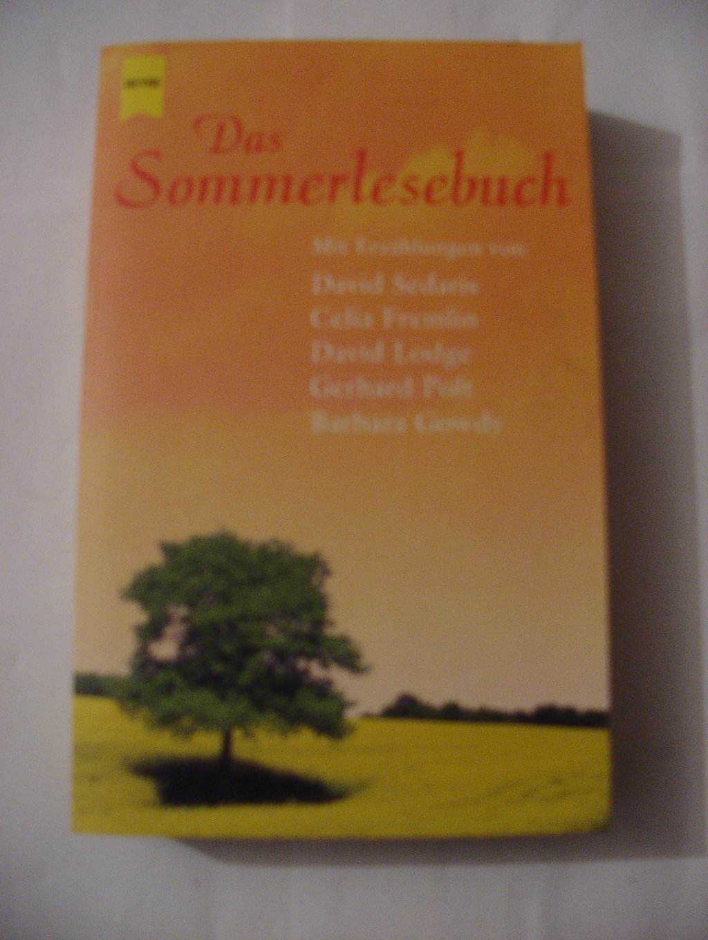 Product Image: Das Sommerlesebuch 2002