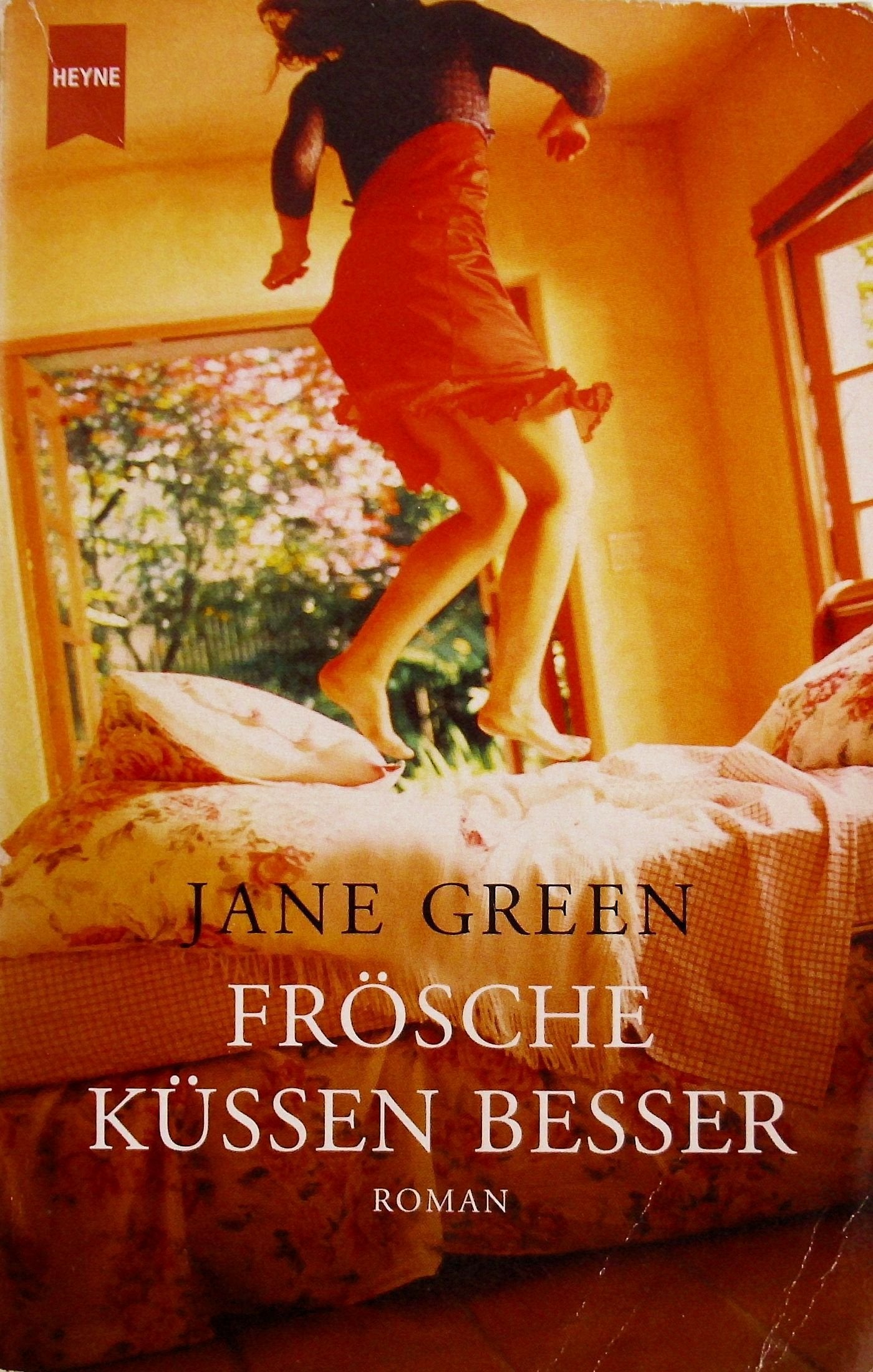 Frösche küssen besser Contemporary literature