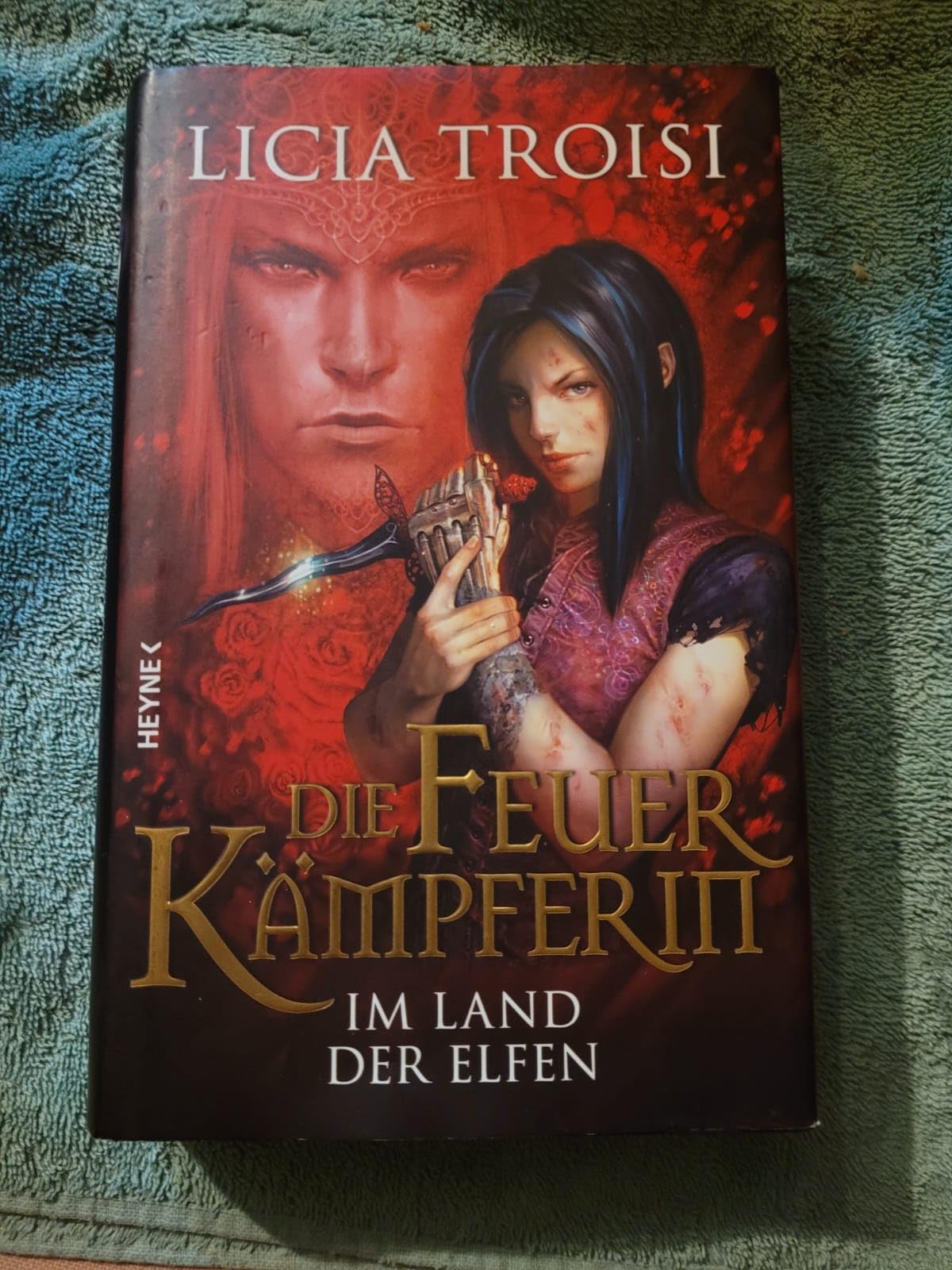 Die Feuerkämpferin 3 - Im Land der Elfen: Roman Historical Fiction