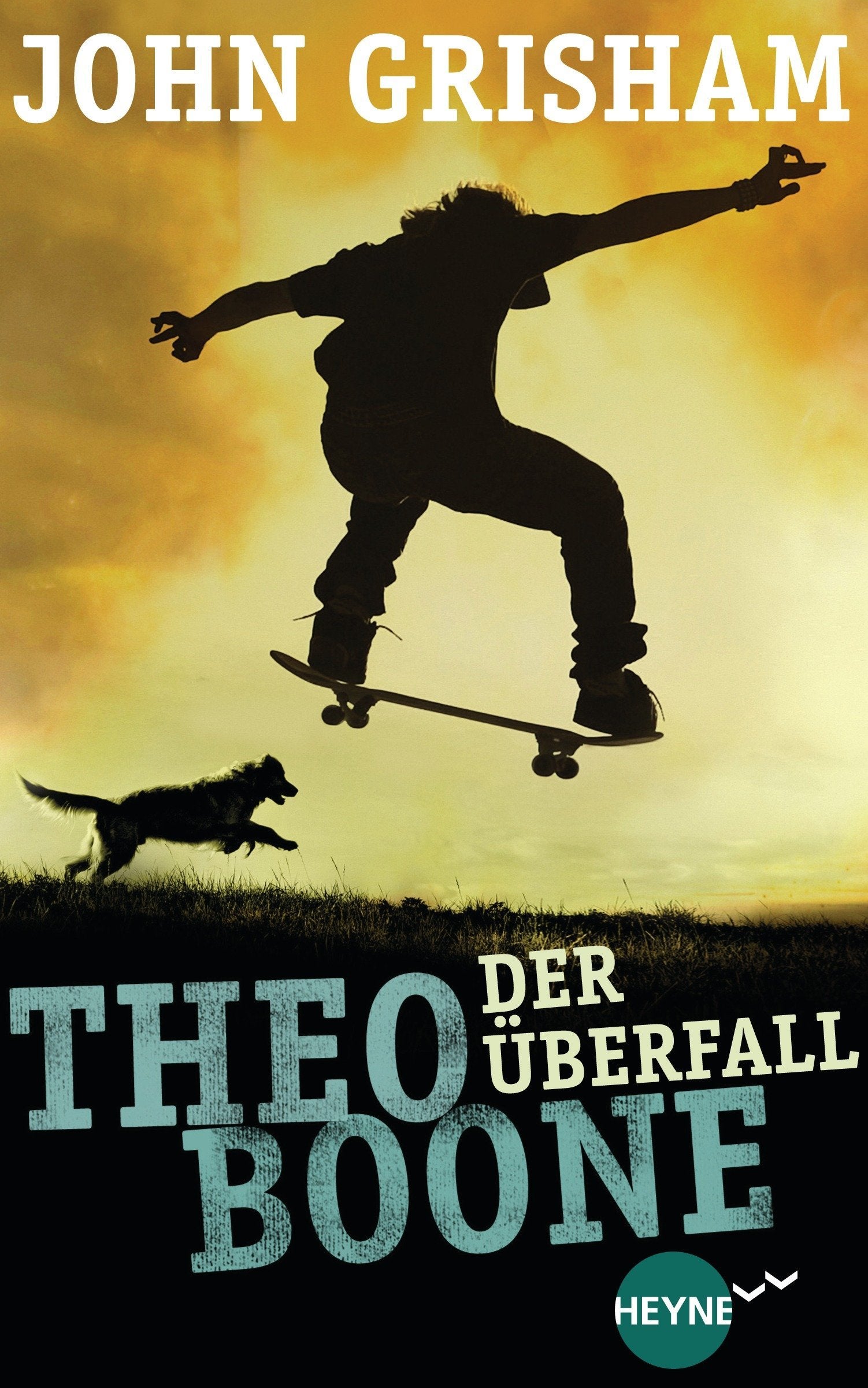 Theo Boone - Der Überfall: Band 4 (Jugendbücher - Theo Boone, Band 4) Fiction