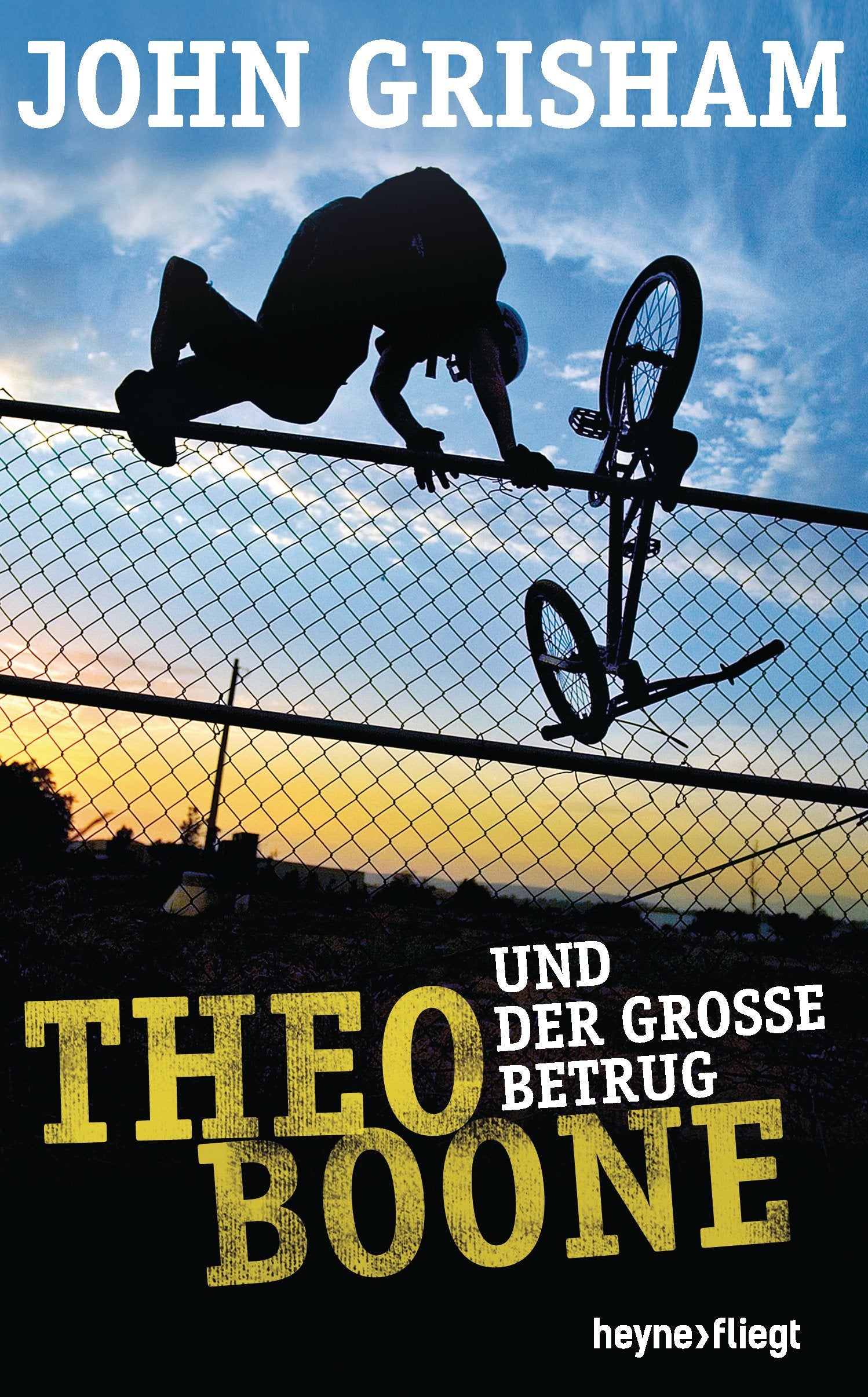 Theo Boone und der große Betrug Contemporary literature