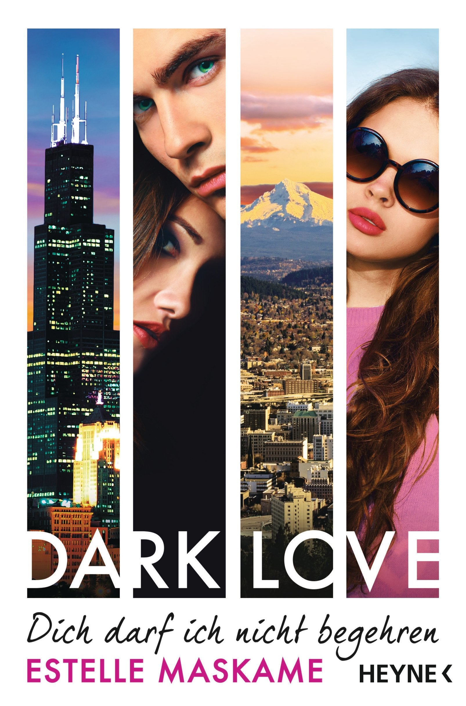 DARK LOVE 03 - Dich darf ich nicht begehren Contemporary literature