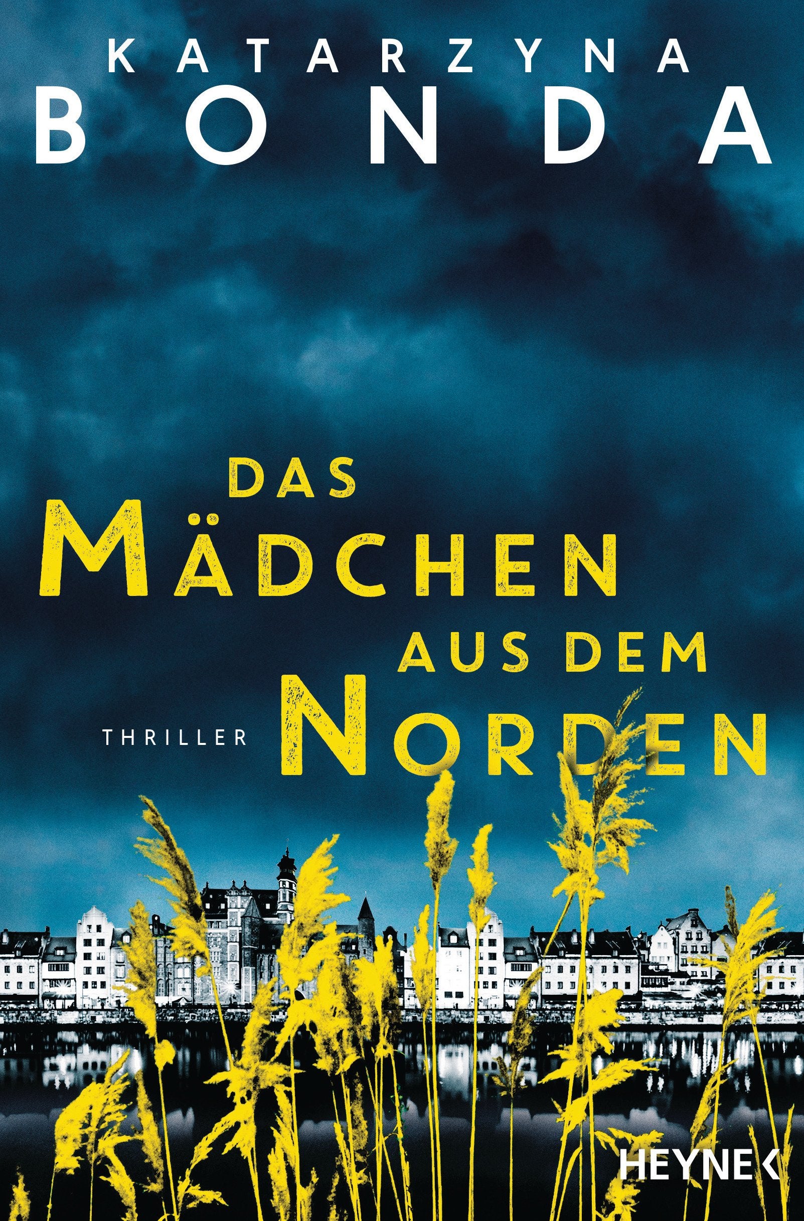 Das Mädchen aus dem Norden Contemporary literature