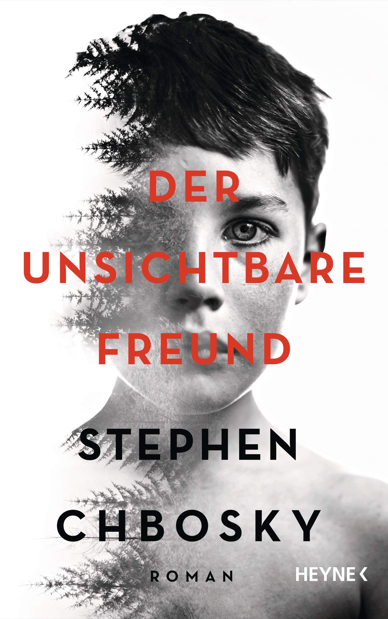 Der unsichtbare Freund Horror & Mystery