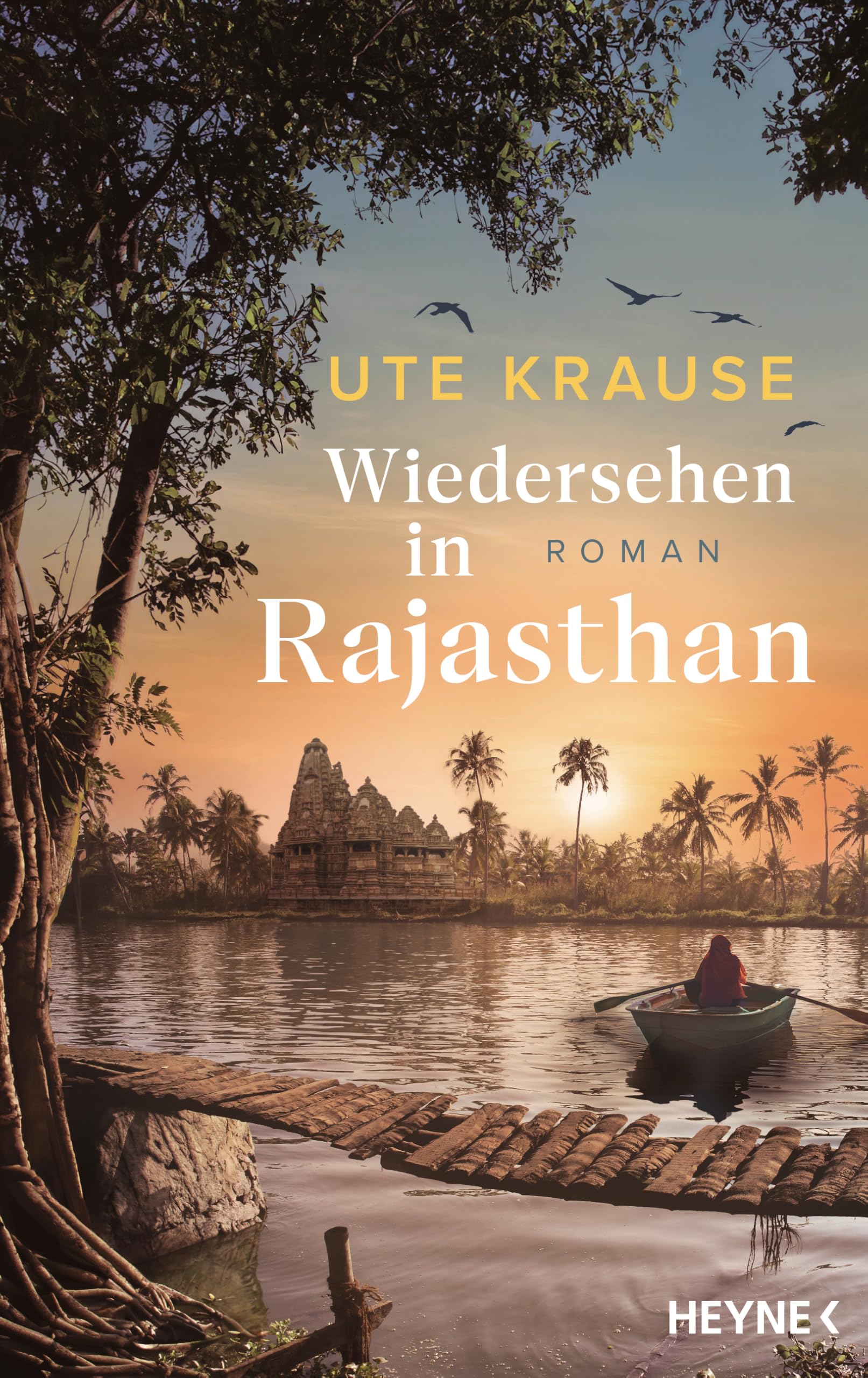 Wiedersehen in Rajasthan book