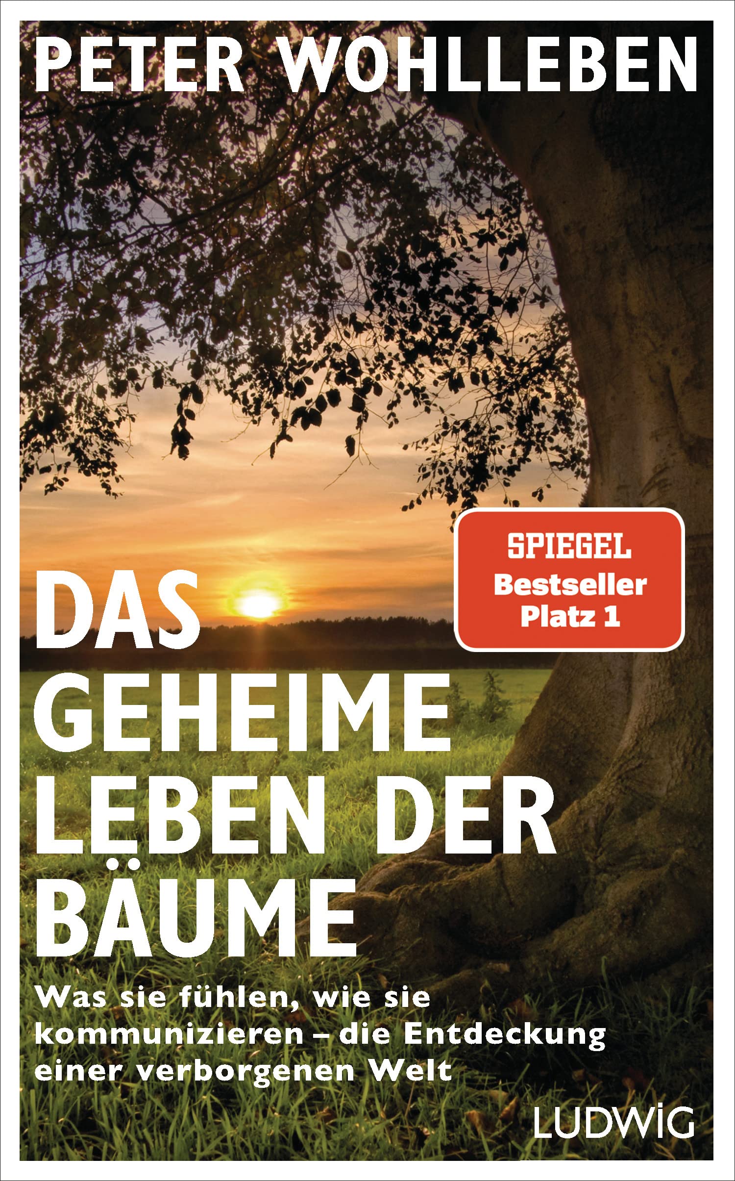 Product Image: Das geheime Leben der Bäume