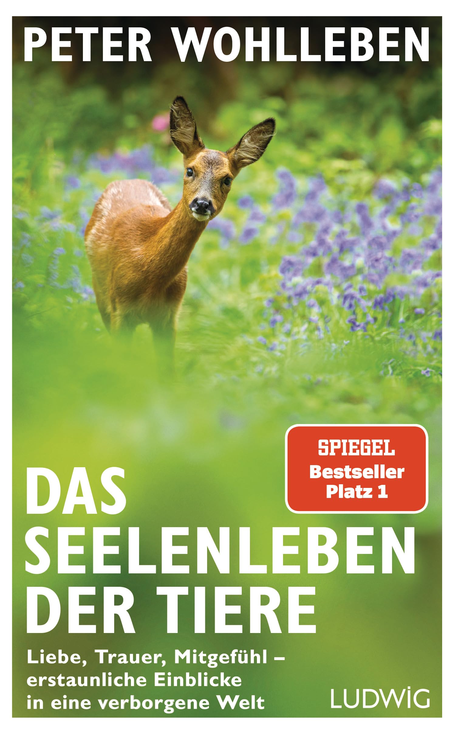 Das Seelenleben der Tiere: Liebe, Trauer, Mitgefühl - erstaunliche Einblicke in eine verborgene Welt Leisure, Home & Garden