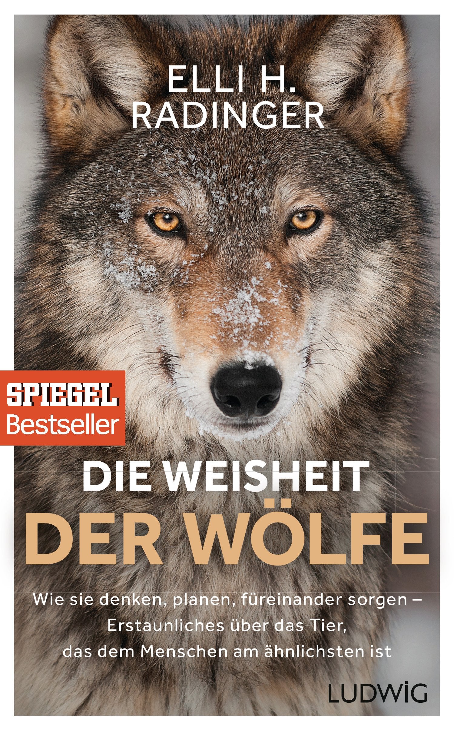 Die Weisheit der Wölfe Computer Science