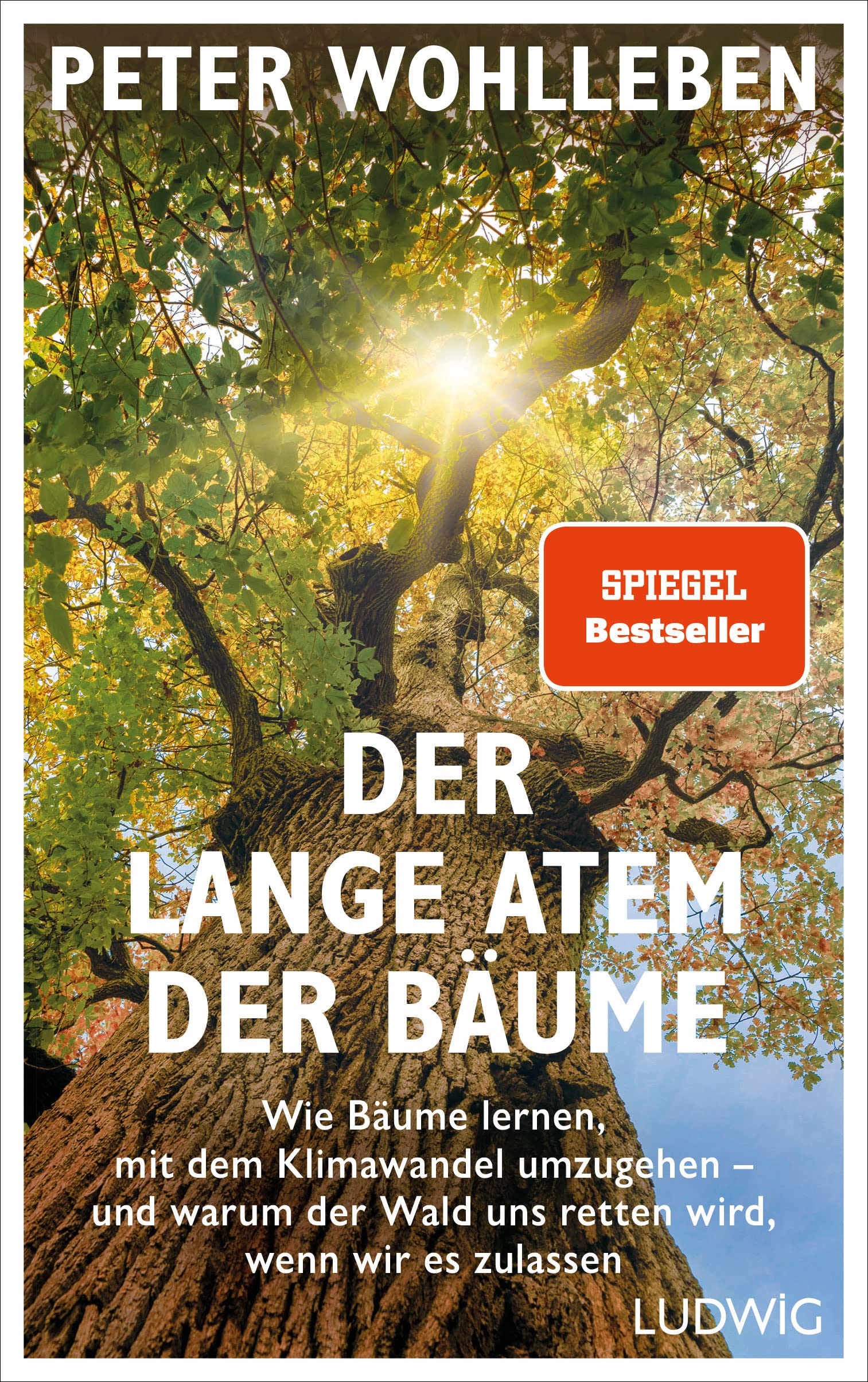 Product Image: Der lange Atem der Bäume